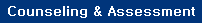 V-Excel Counseling & Assessment Clinic